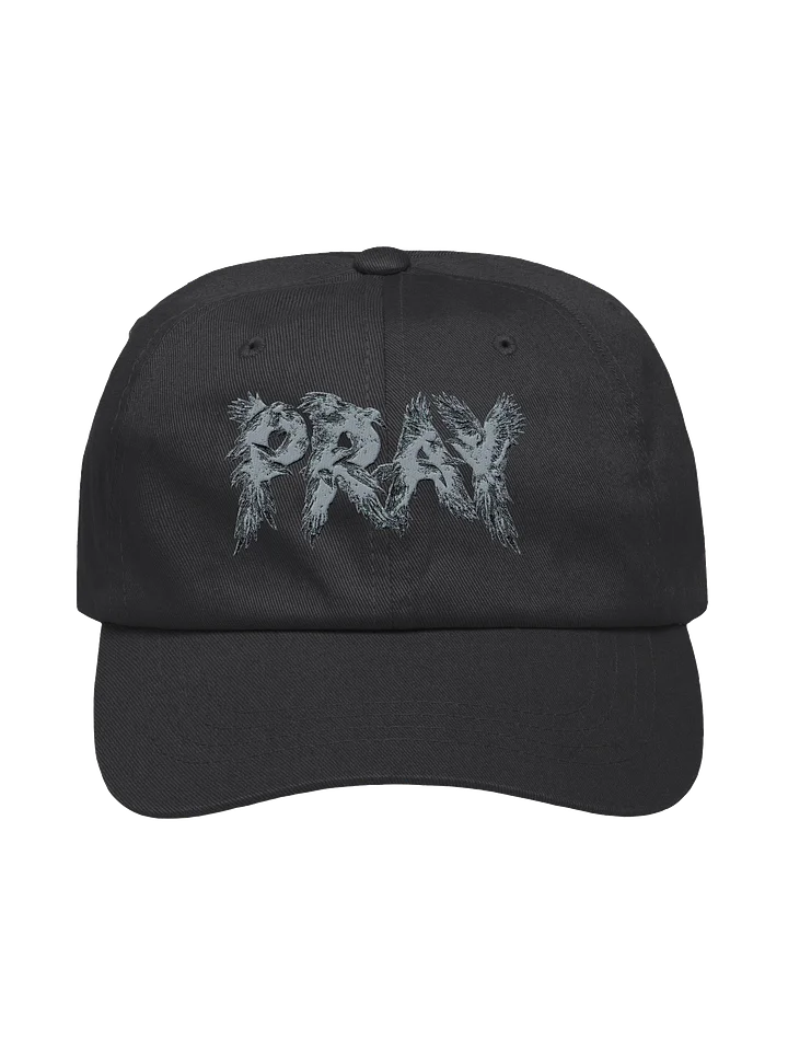 Birds Of Pray Relaxed Hat product image (1)