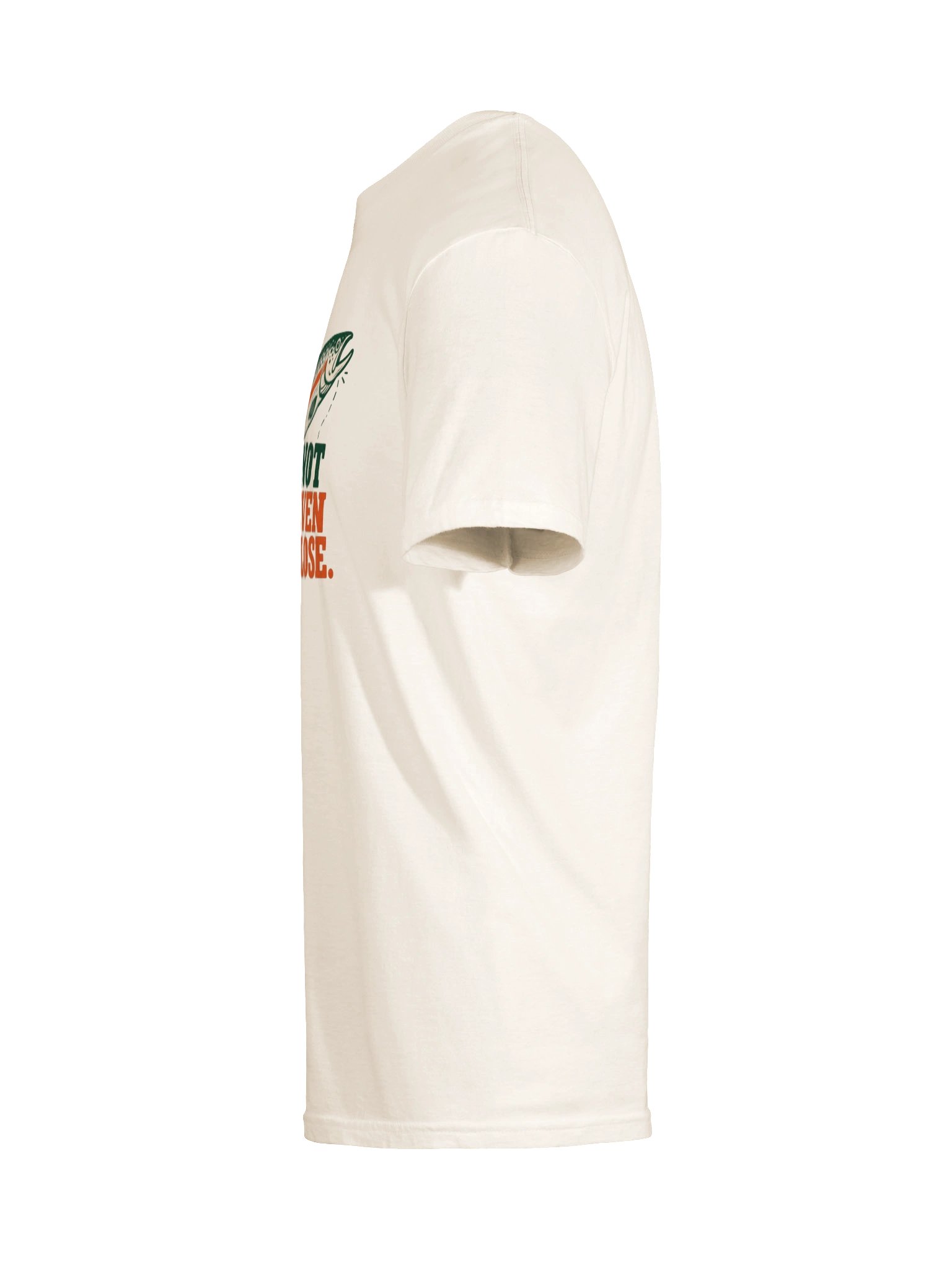 The End? T-Shirt product image (9)