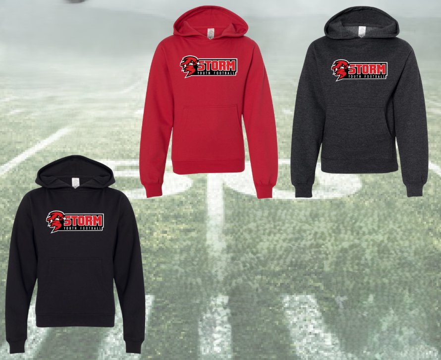 Youth Hoodie product image (1)