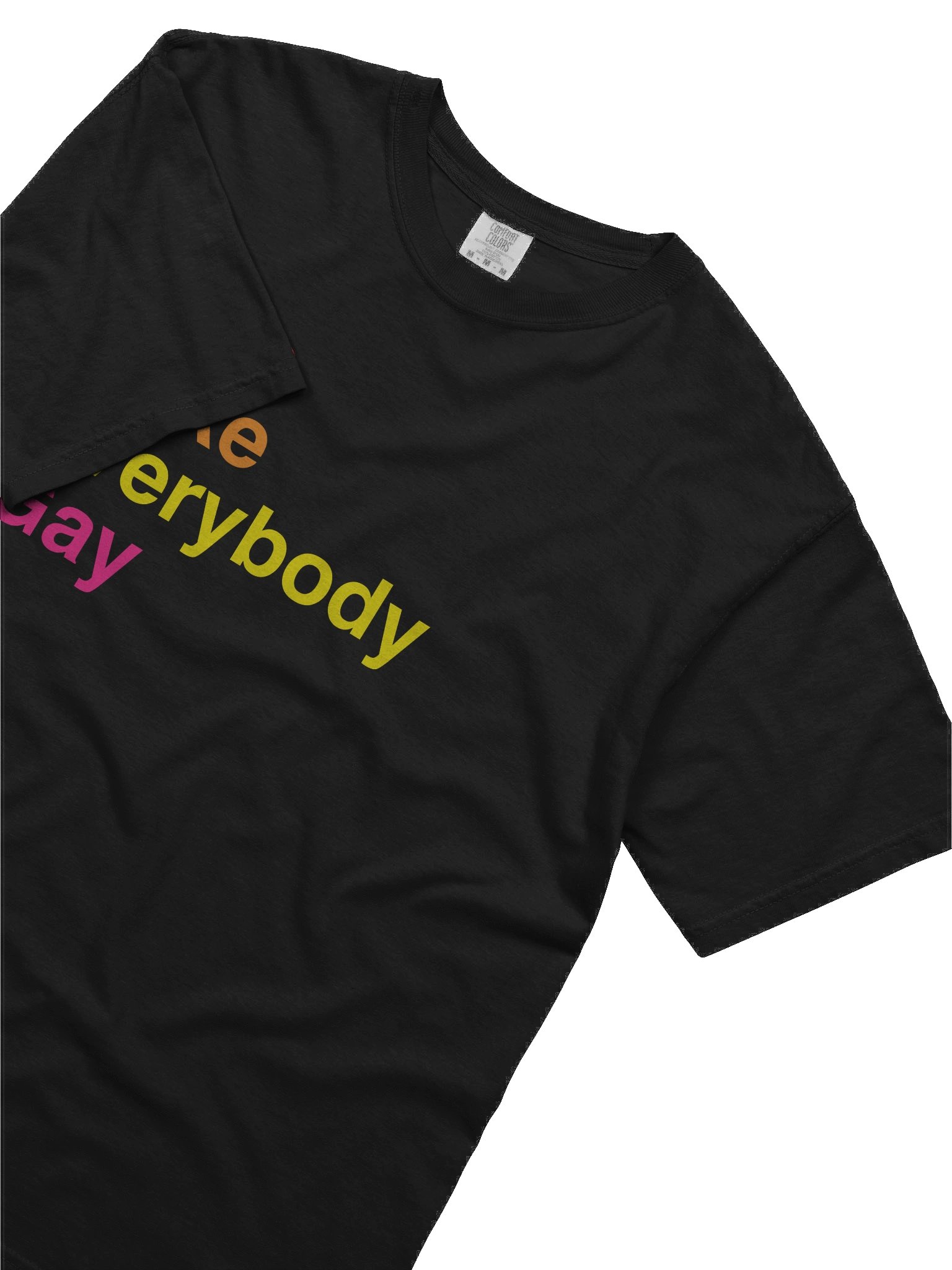 Let's Make Everybody Gay! product image (5)