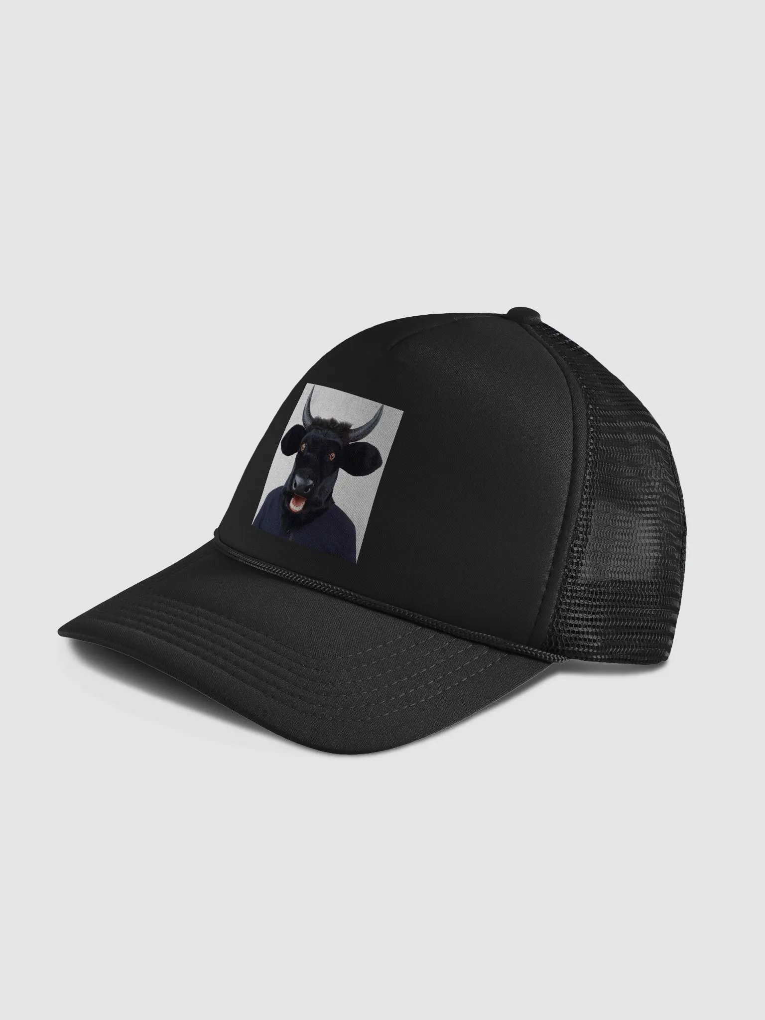 T-Bone Hat product image (4)