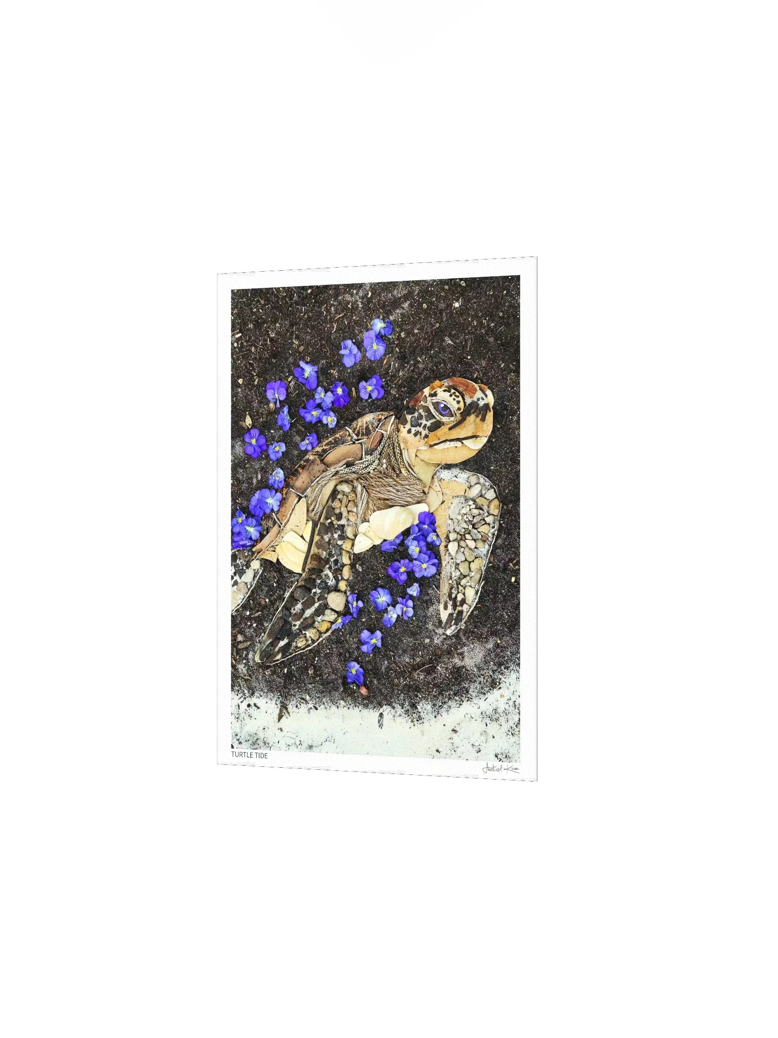 TURTLE TIDE | Fine Art Print product image (3)