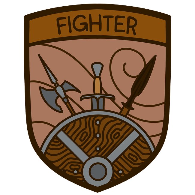 Fighter