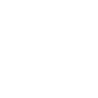 Traw Collective