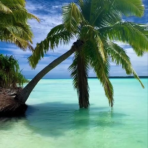 Please subscribe to the channel at https://youtube.com/@truetraveltreasures
Visit our website at https://truetraveltreasures....