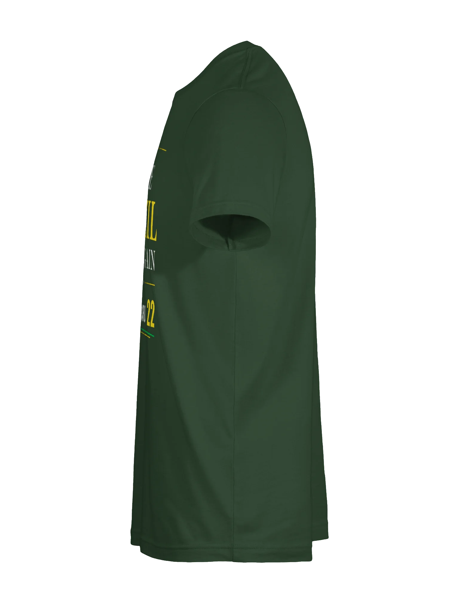 Make Brazil Great Again — Flávio Bolsonaro 22 T-Shirt - Model II product image (23)
