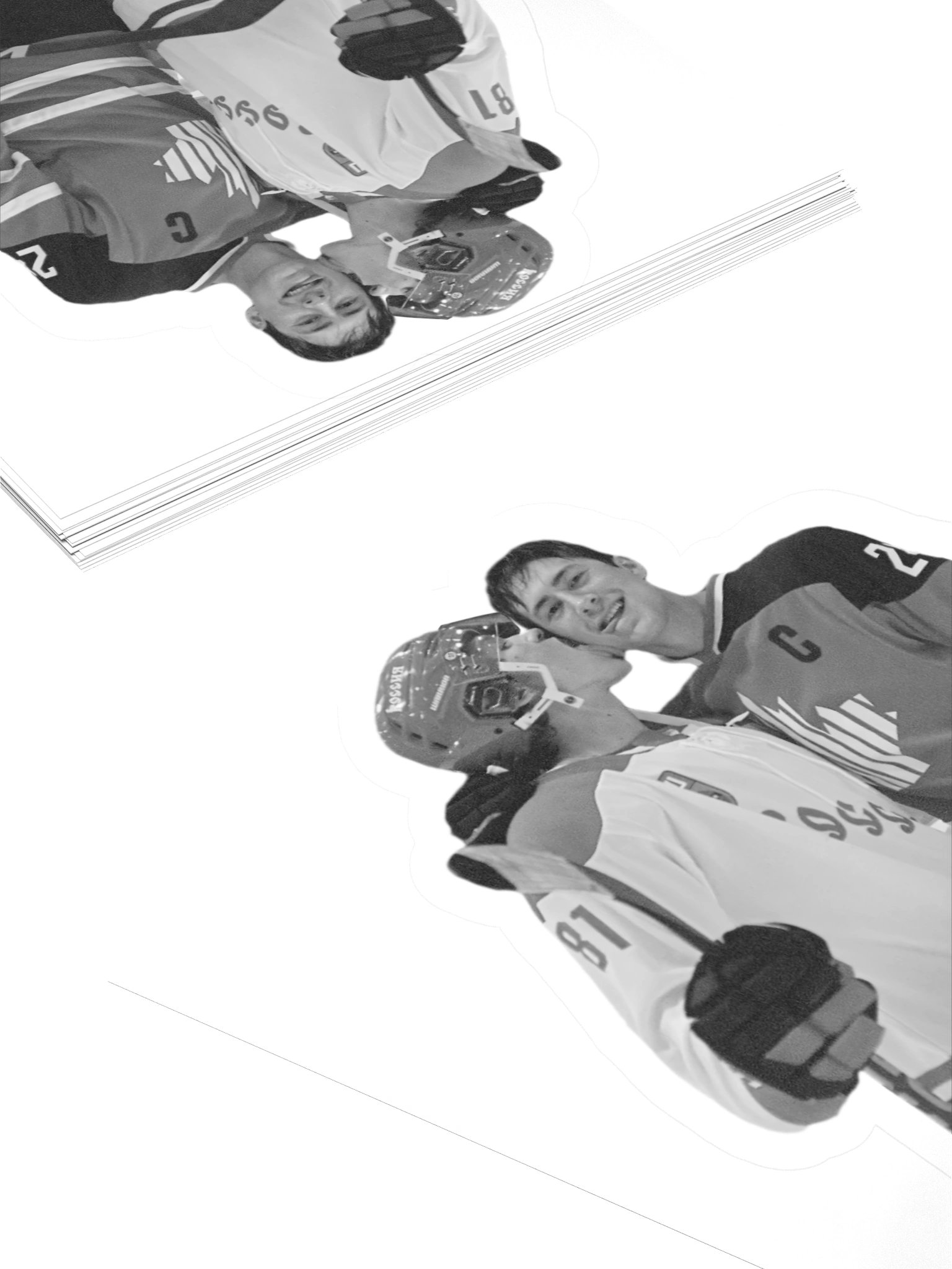 HOLLANOV B & W STICKER product image (11)