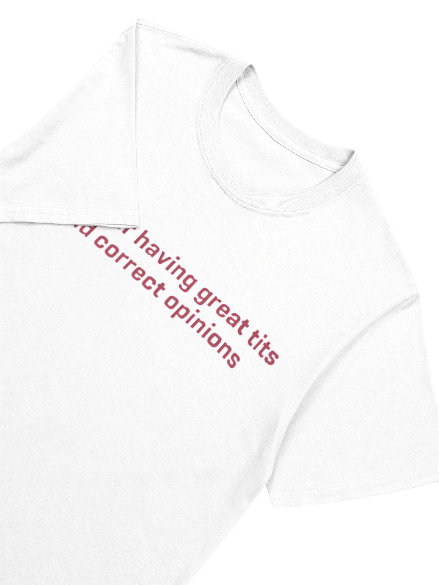 Sorry For Having Great Tits And Correct Opinions Shirt product image (5)