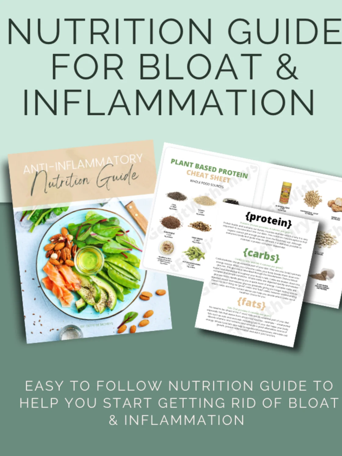 Anti Bloat Guide product image (2)