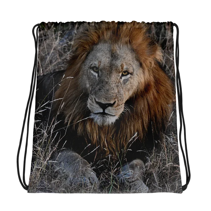 The Sovereign Stare: All-Over Print Drawstring Bag product image (1)