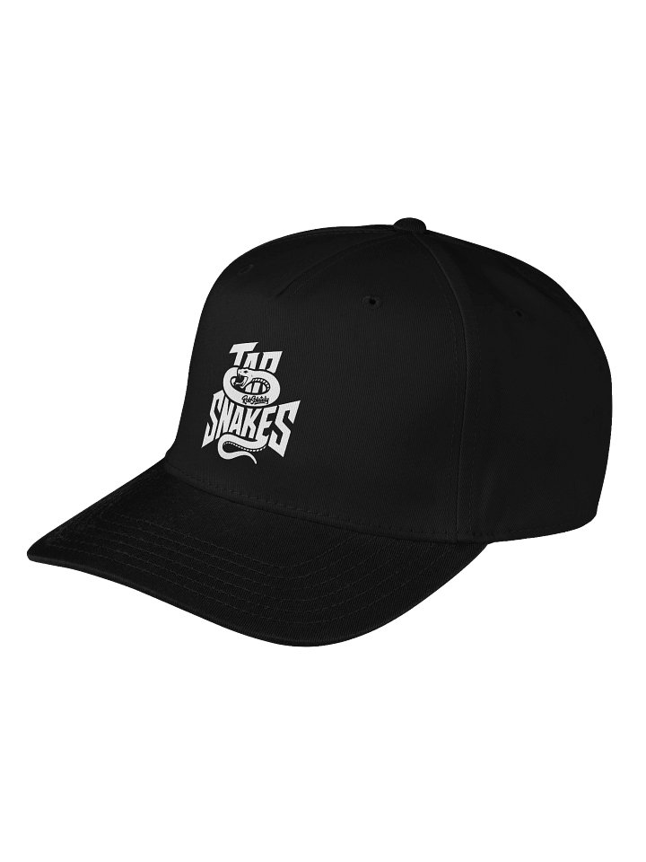 "Tar Snakes" Limited Design Graphic Hat product image (2)