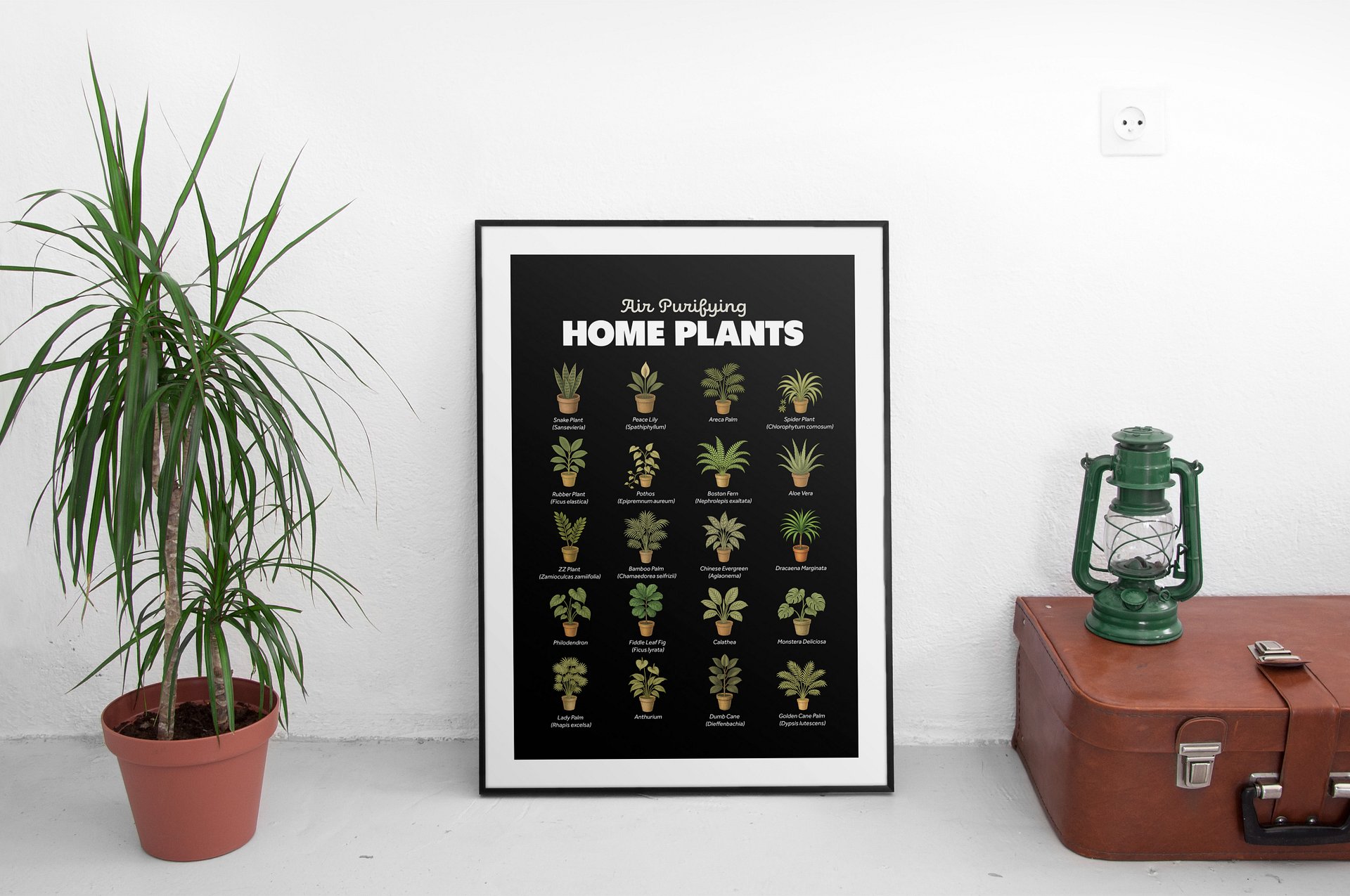 Air Purifying Home Plants Poster product image (26)