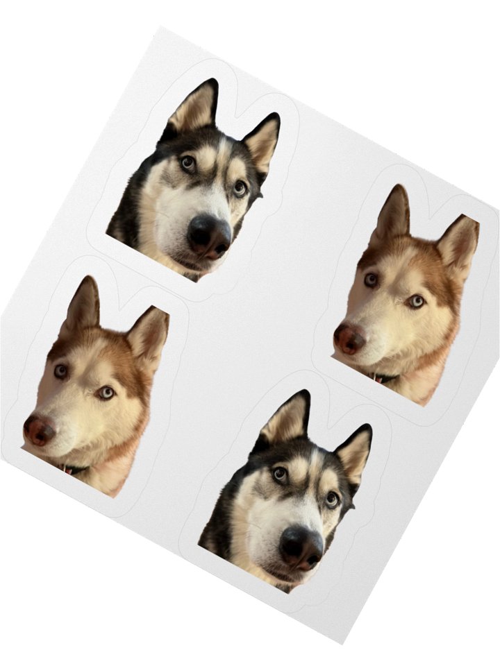 The Huskies Stickers product image (2)