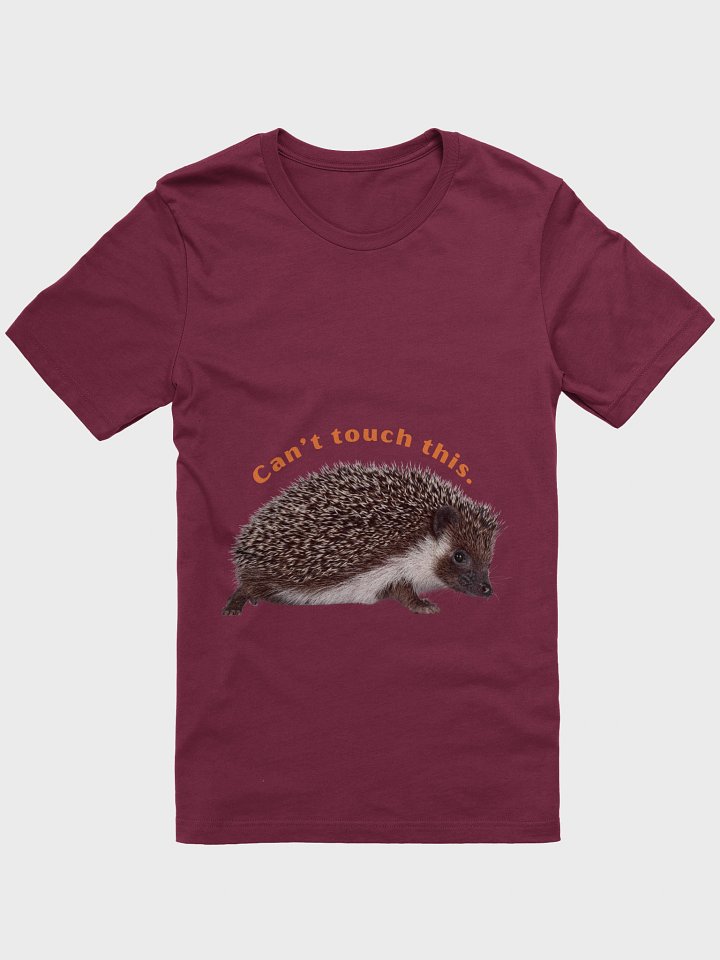 Spike, the hedgehog — simple and funny product image (1)