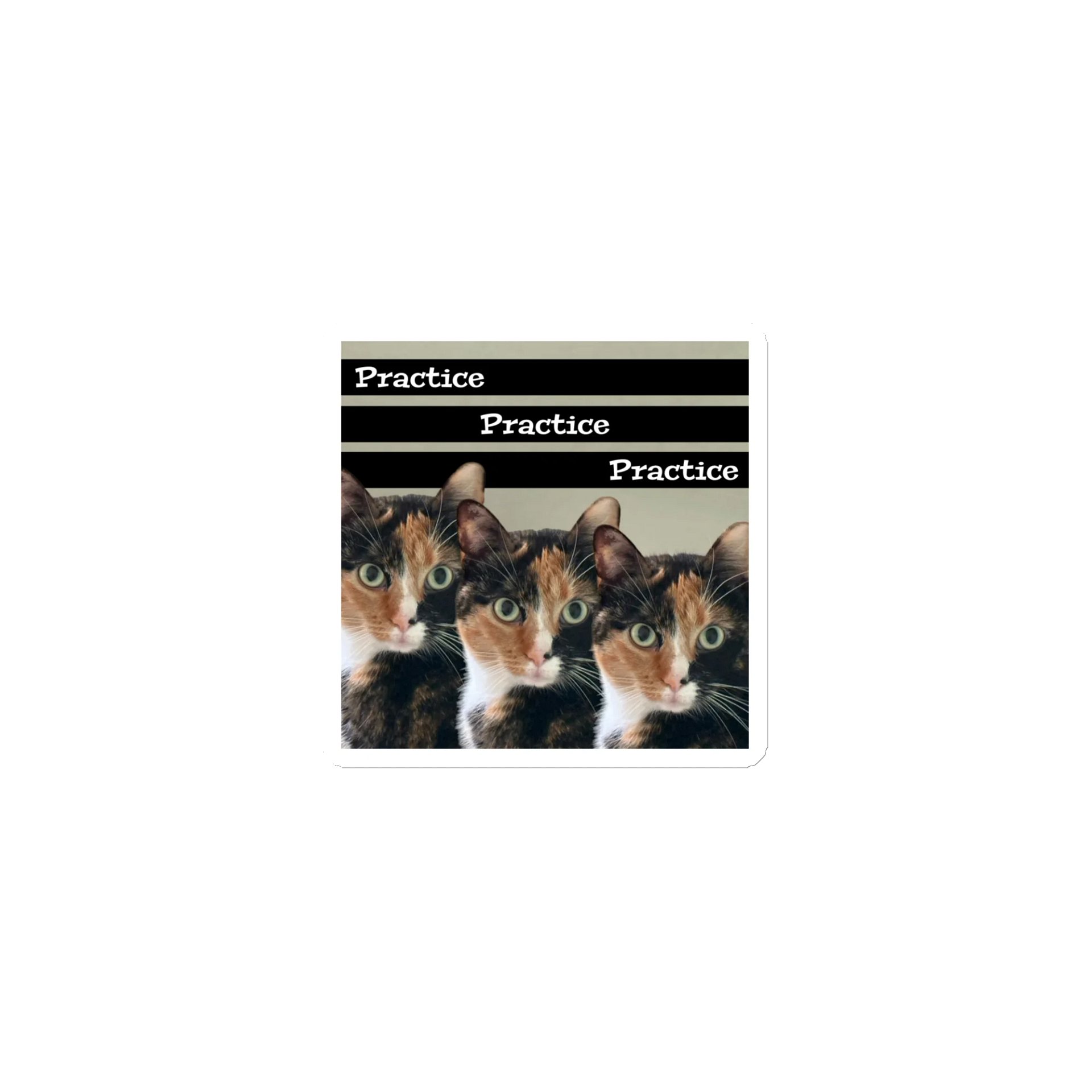 Practice Magnet product image (1)