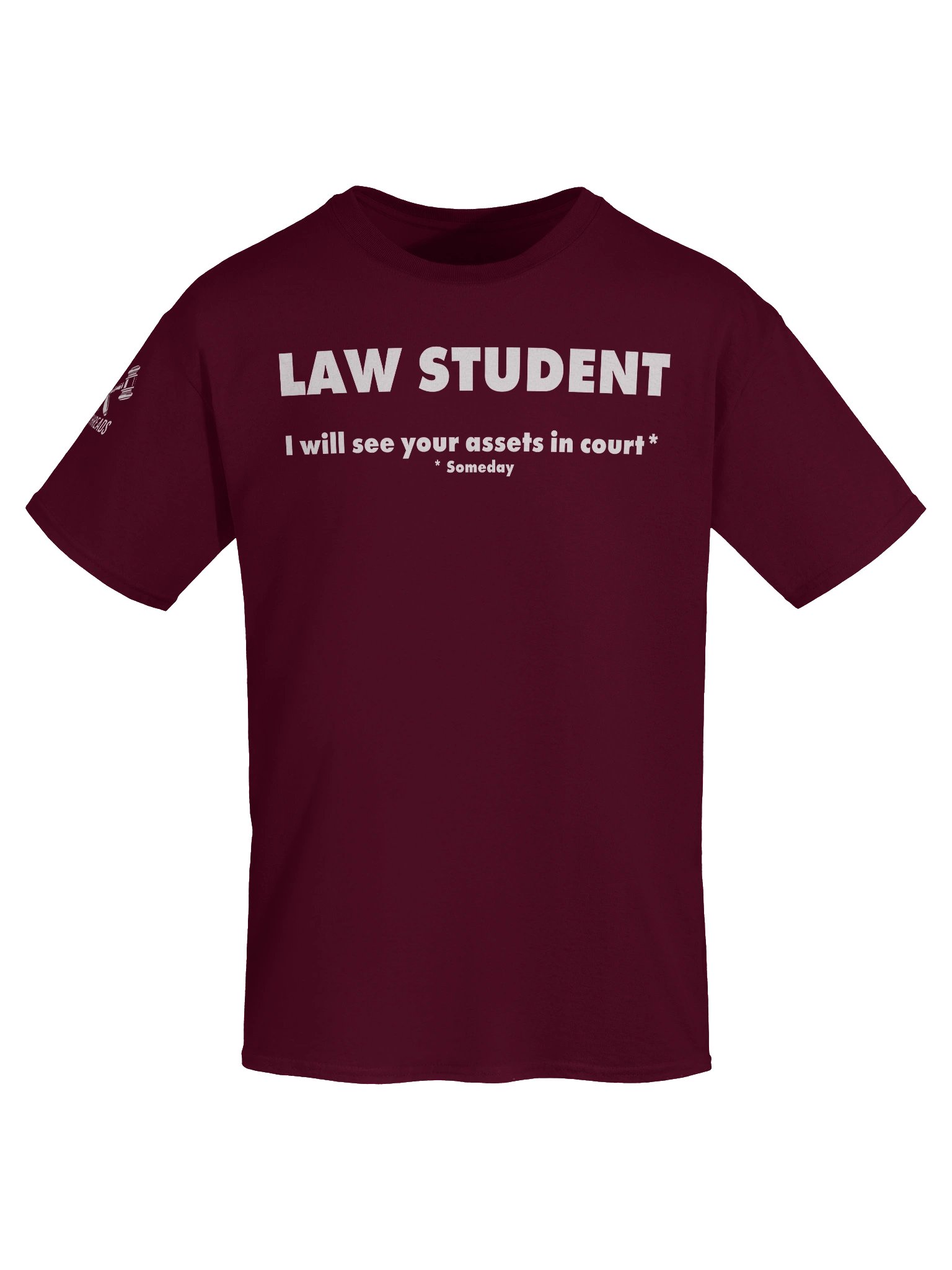 Law Student - See Your Assets in Court product image (9)