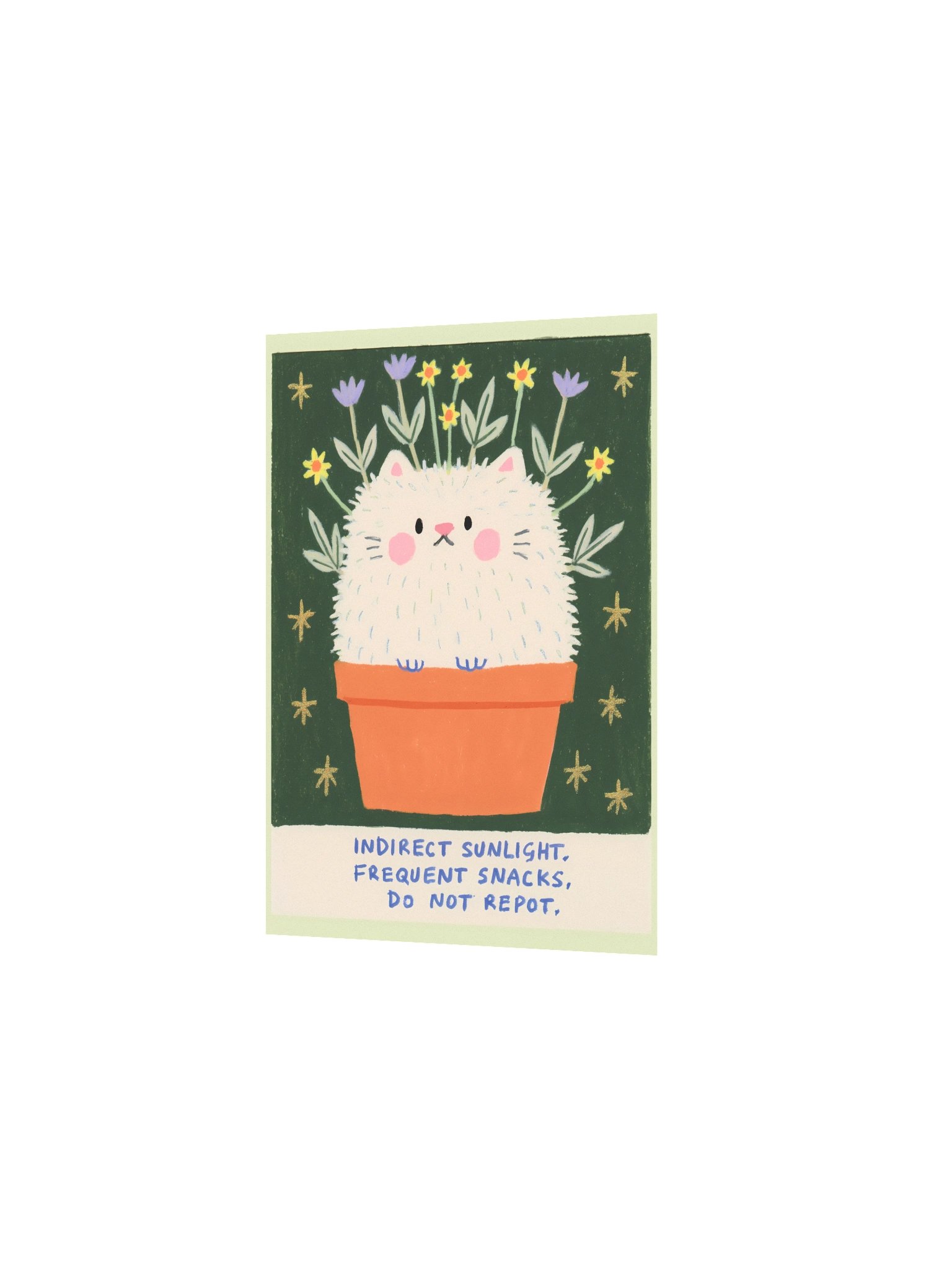 Indirect Sunlight Cat Poster product image (11)