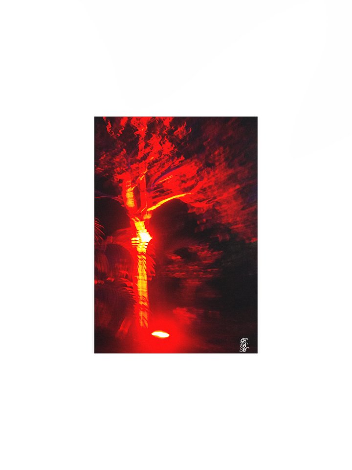 Red Light Tree product image (1)