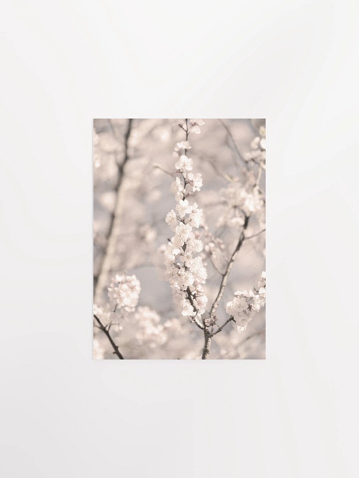 Sakura - Enhanced Matte Paper Poster product image (2)