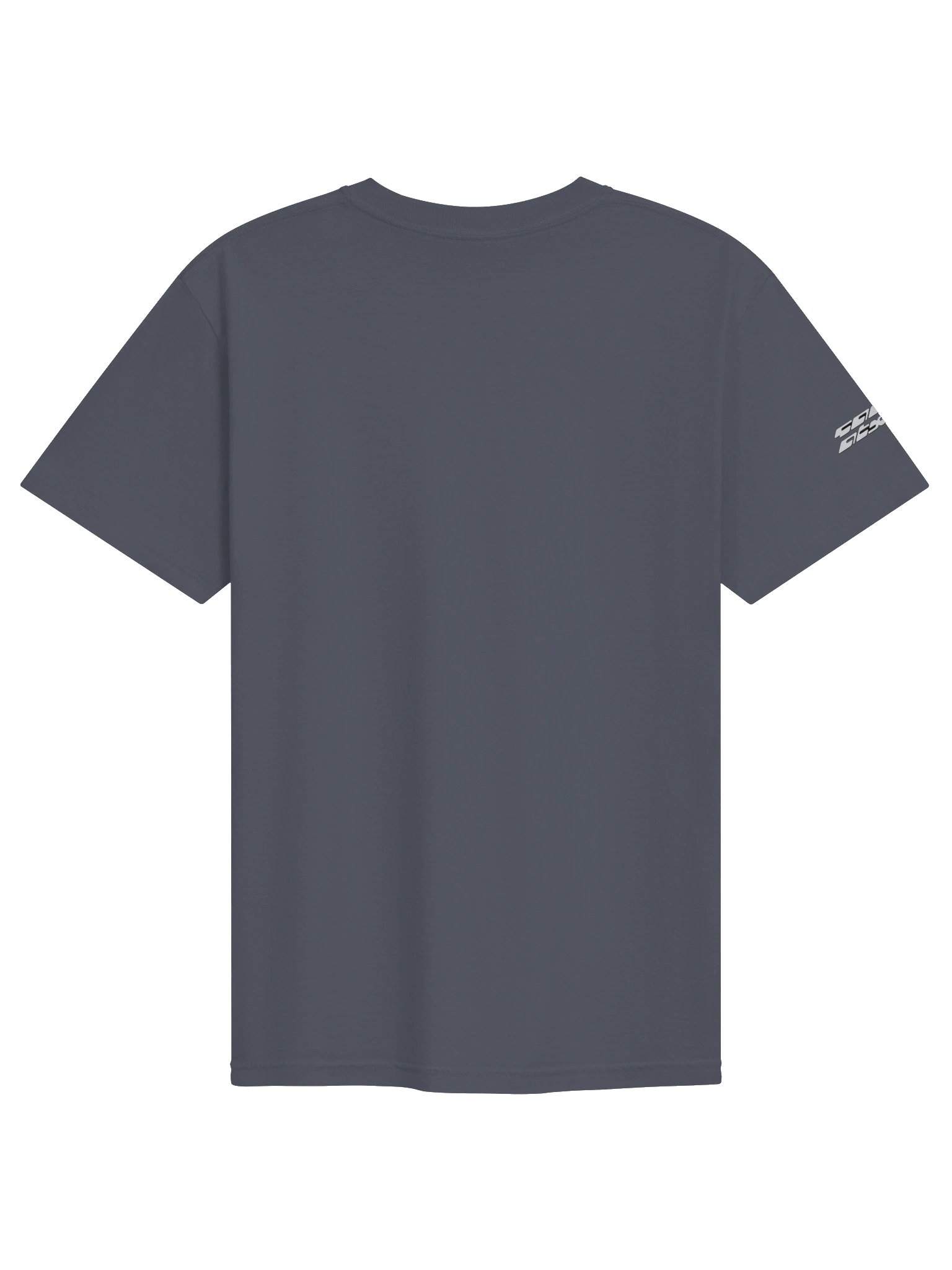 Saucy Dojo Rave Heavyweight T-Shirt product image (66)