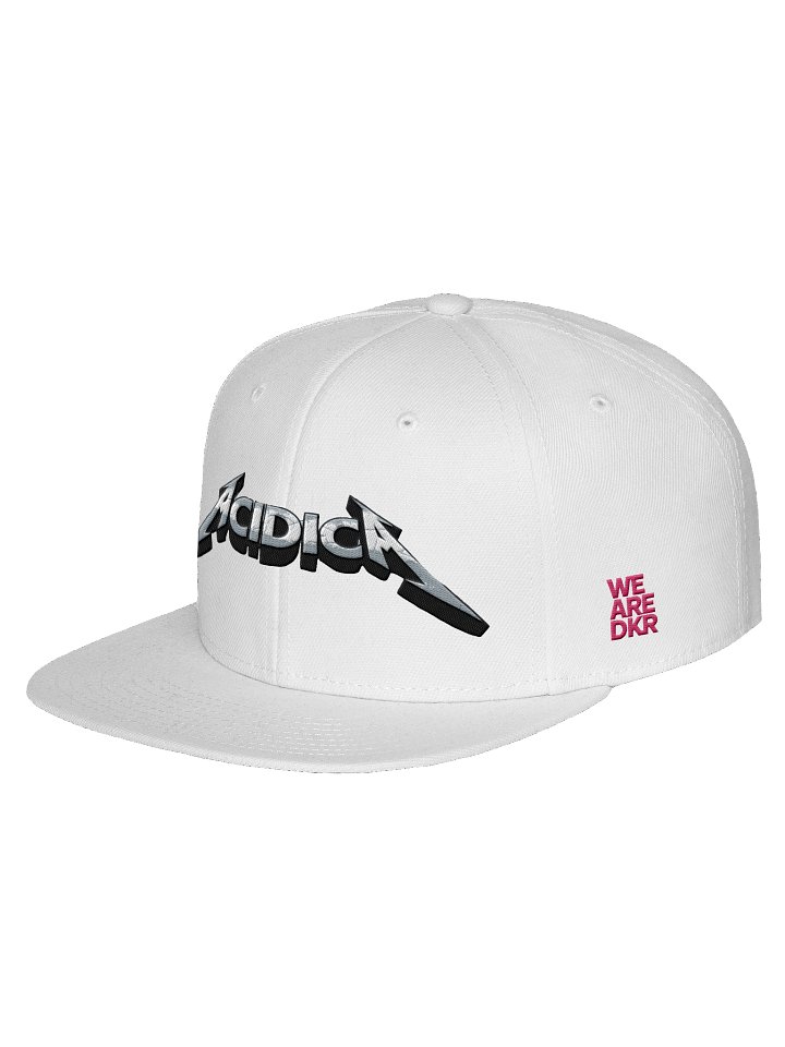 ACIDICA Snapback: Otto Cap product image (2)