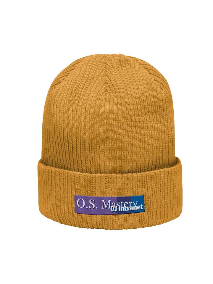 The O.S. Beanie product image (1)
