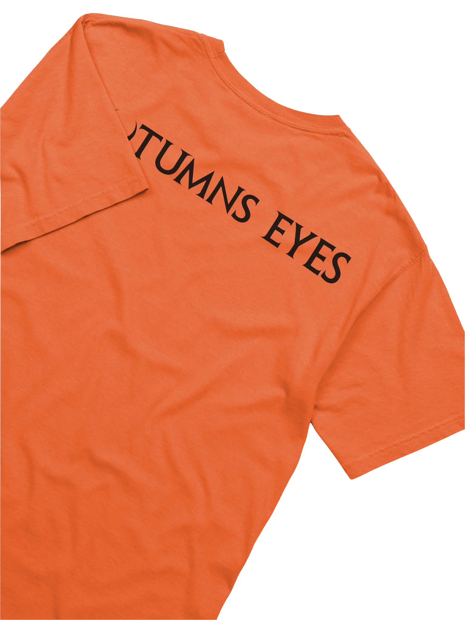Burnt Orange Jack-O-Lantern Heavyweight Tee product image (6)