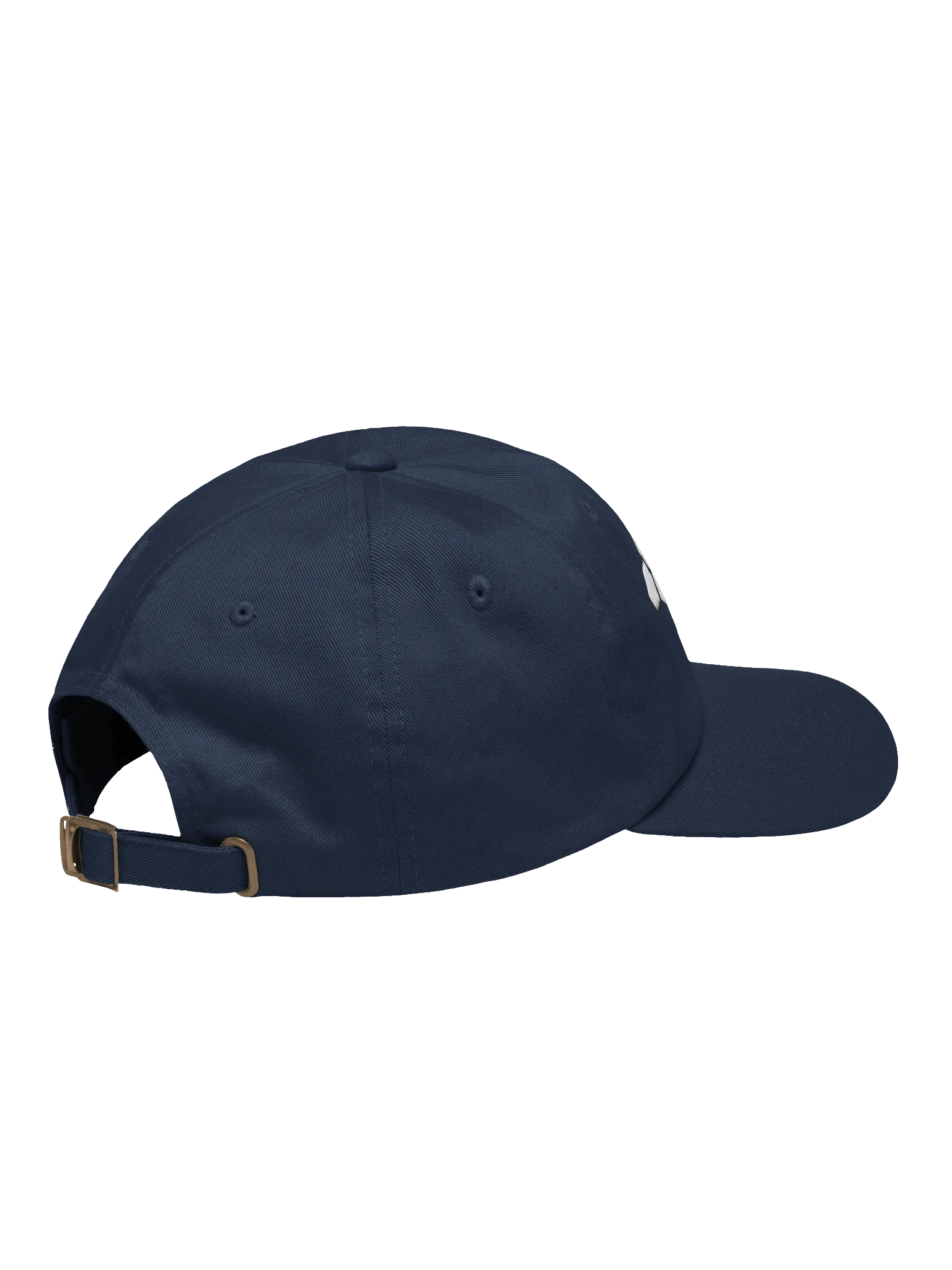 The Wellness Matrix Hat product image (4)