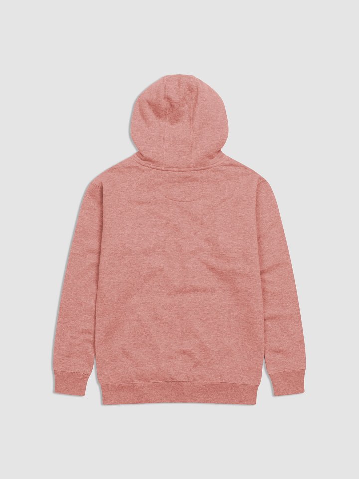 UFO Ultraconservative Family Hoodie product image (2)