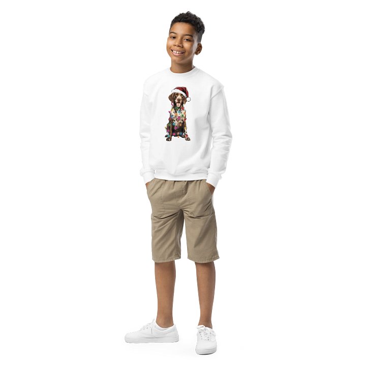 Funny Christmas German Shorthaired Pointer(Liver Roan) Youth Sweatshirt product image (1)