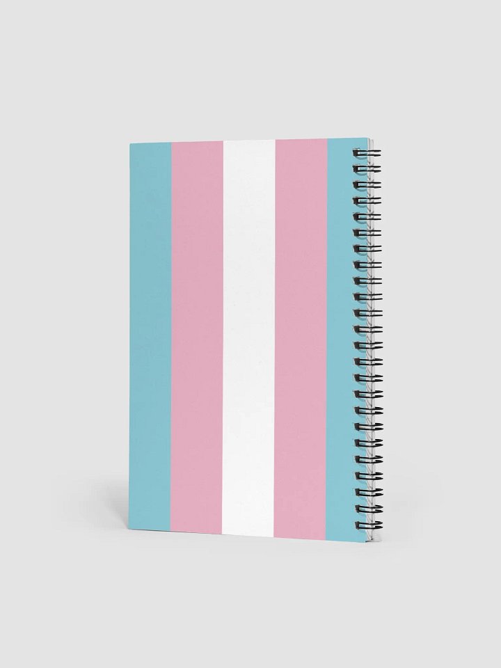 The Trans Agenda product image (2)