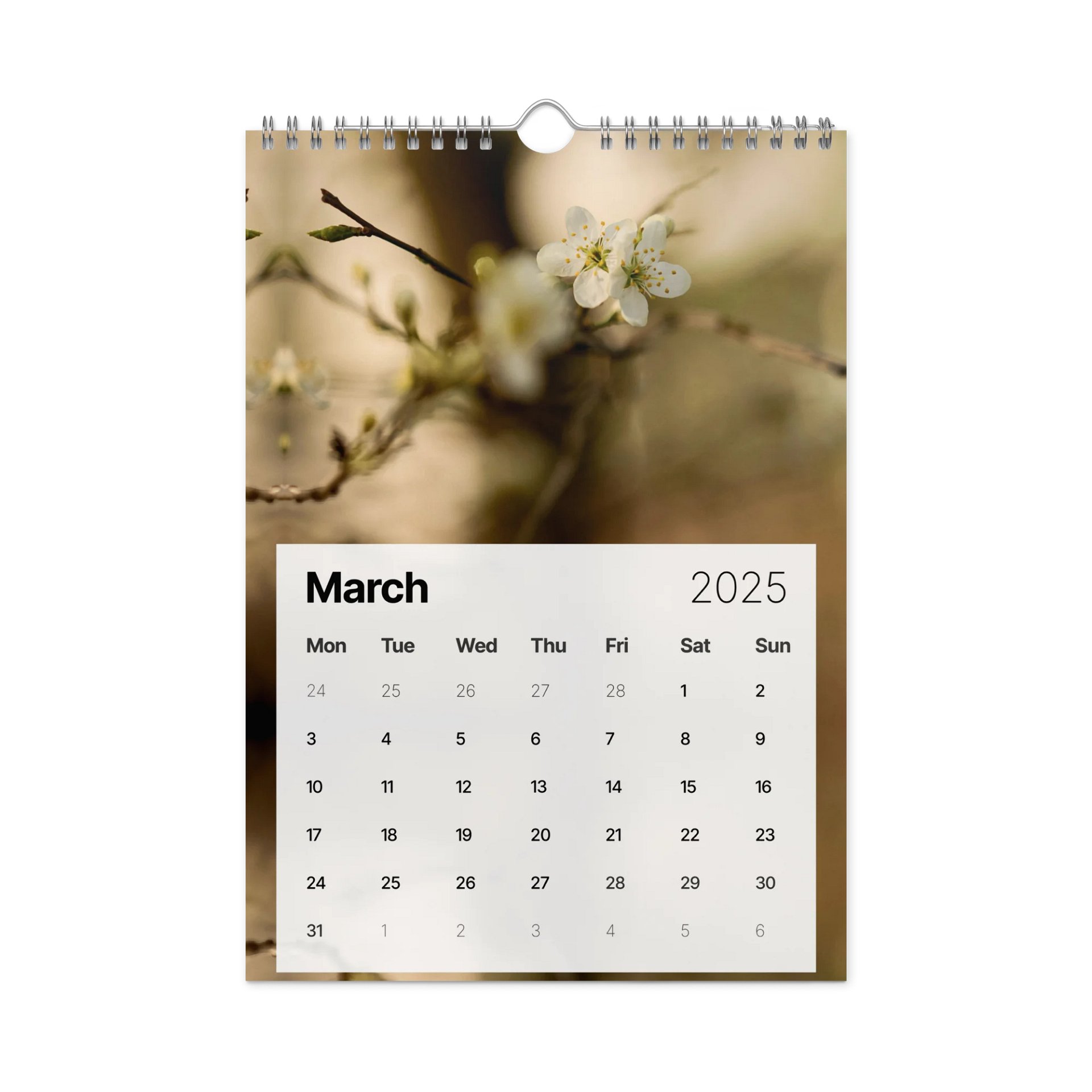 2025 Calendar product image (3)