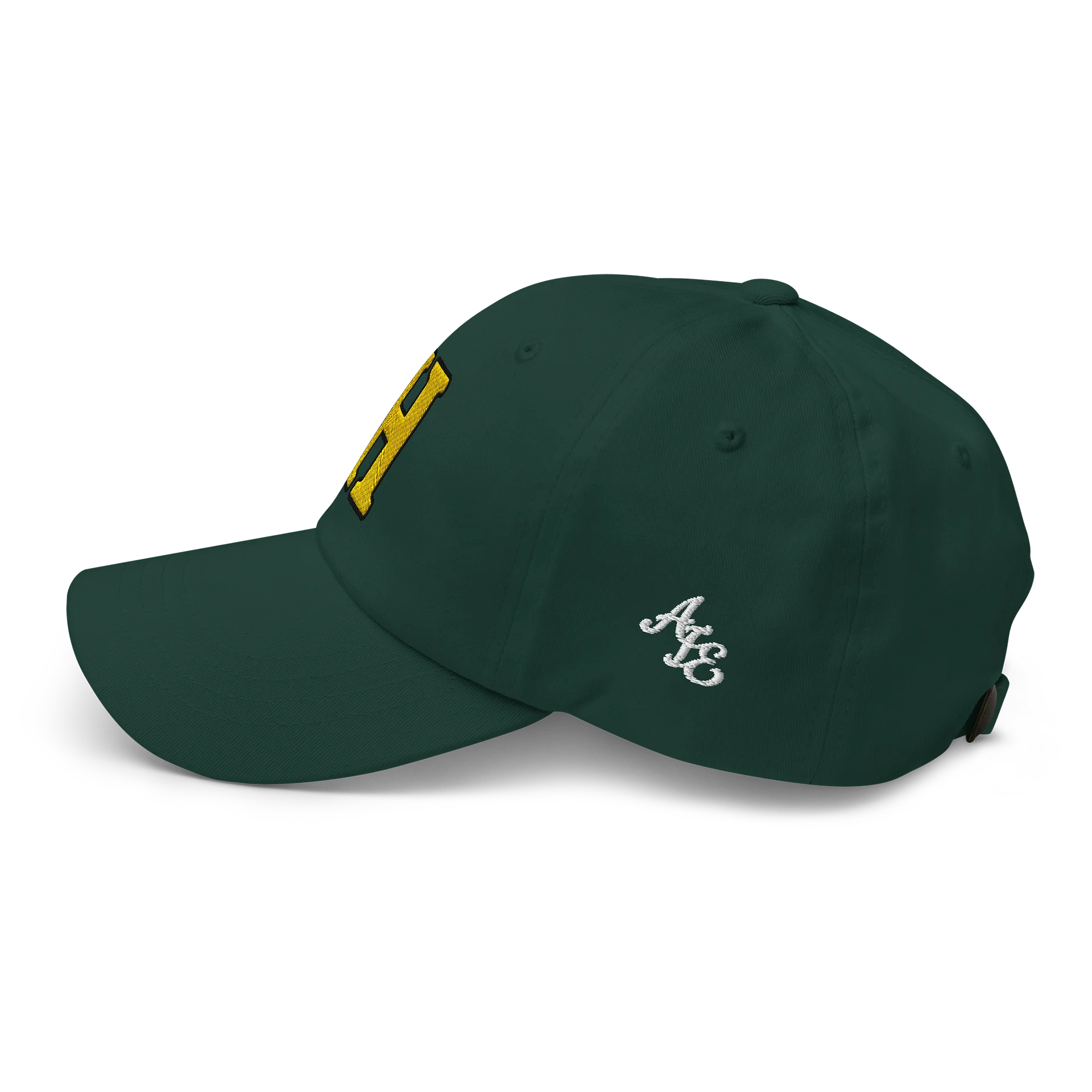 Authenticity H Logo hat product image (5)