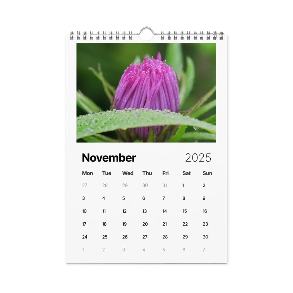 Pure Colors 2025 Wall Calendar product image (12)