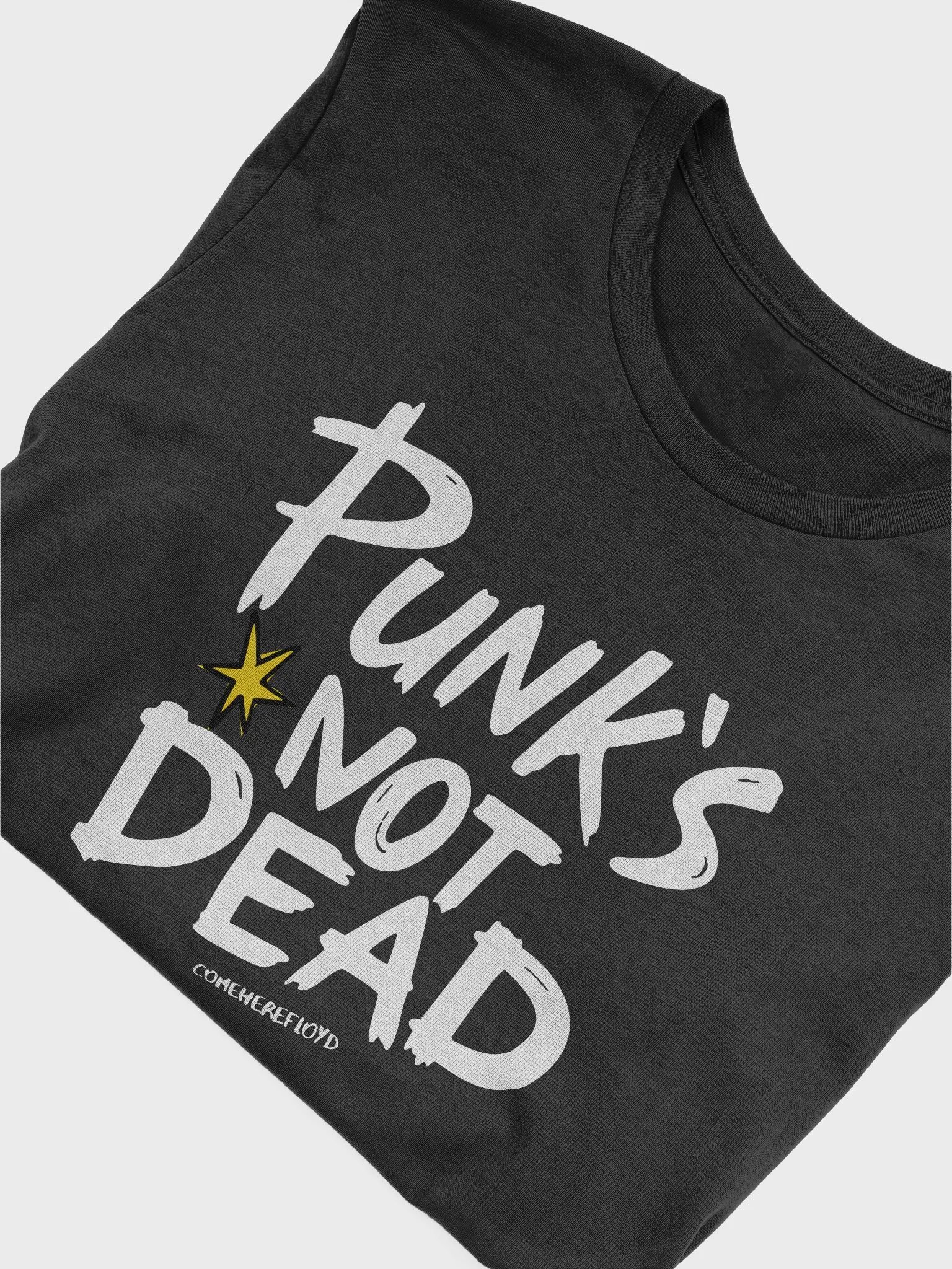 comeherefloyd Music Life Punk's Not Dead product image (5)