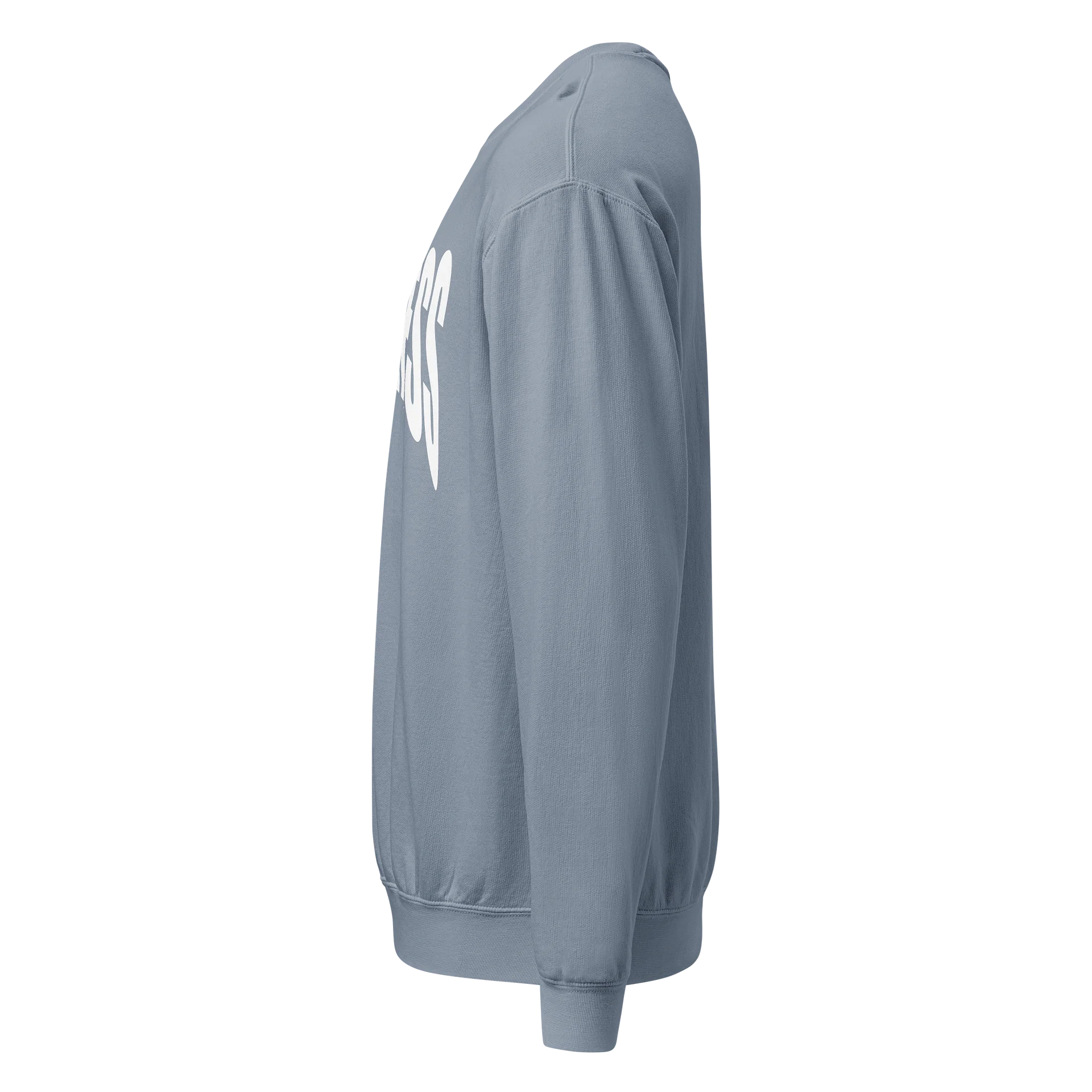 FORTRESS "SPACE" ESSENTIALS CREW SWEATSHIRT product image (3)