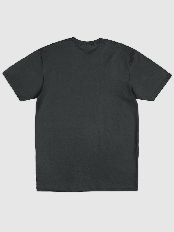 Resist - Rainbow Cotton Heritage Premium Heavyweight Tee product image (5)