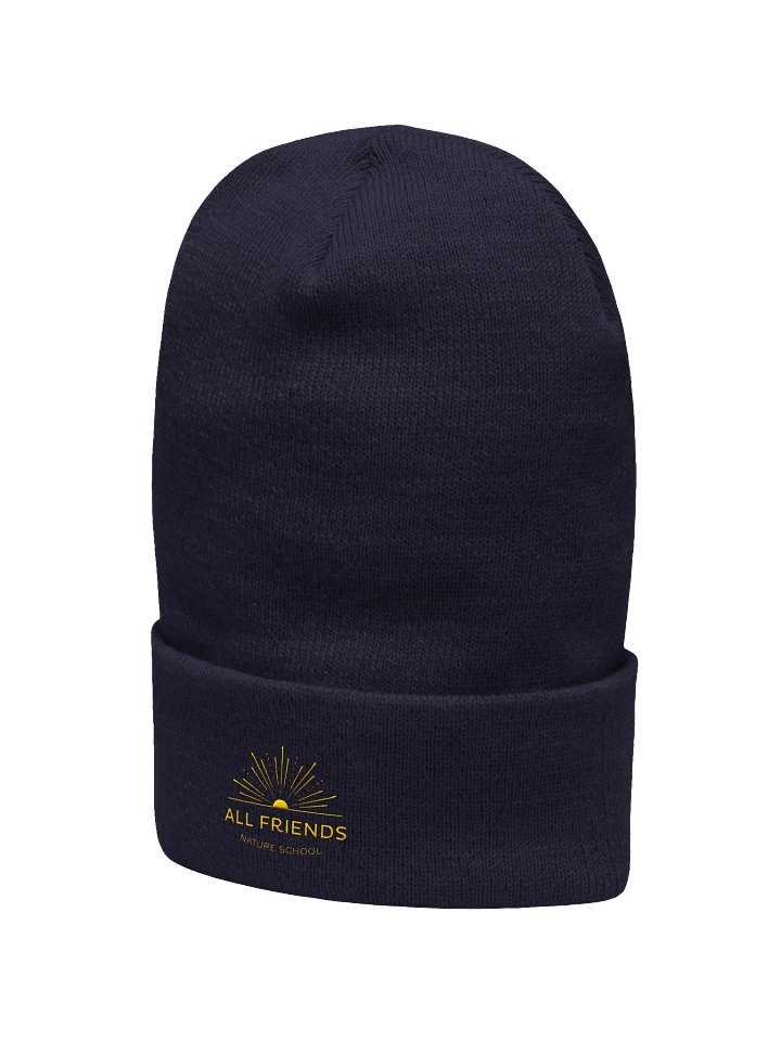 Embroidered Cuffed Beanie product image (2)