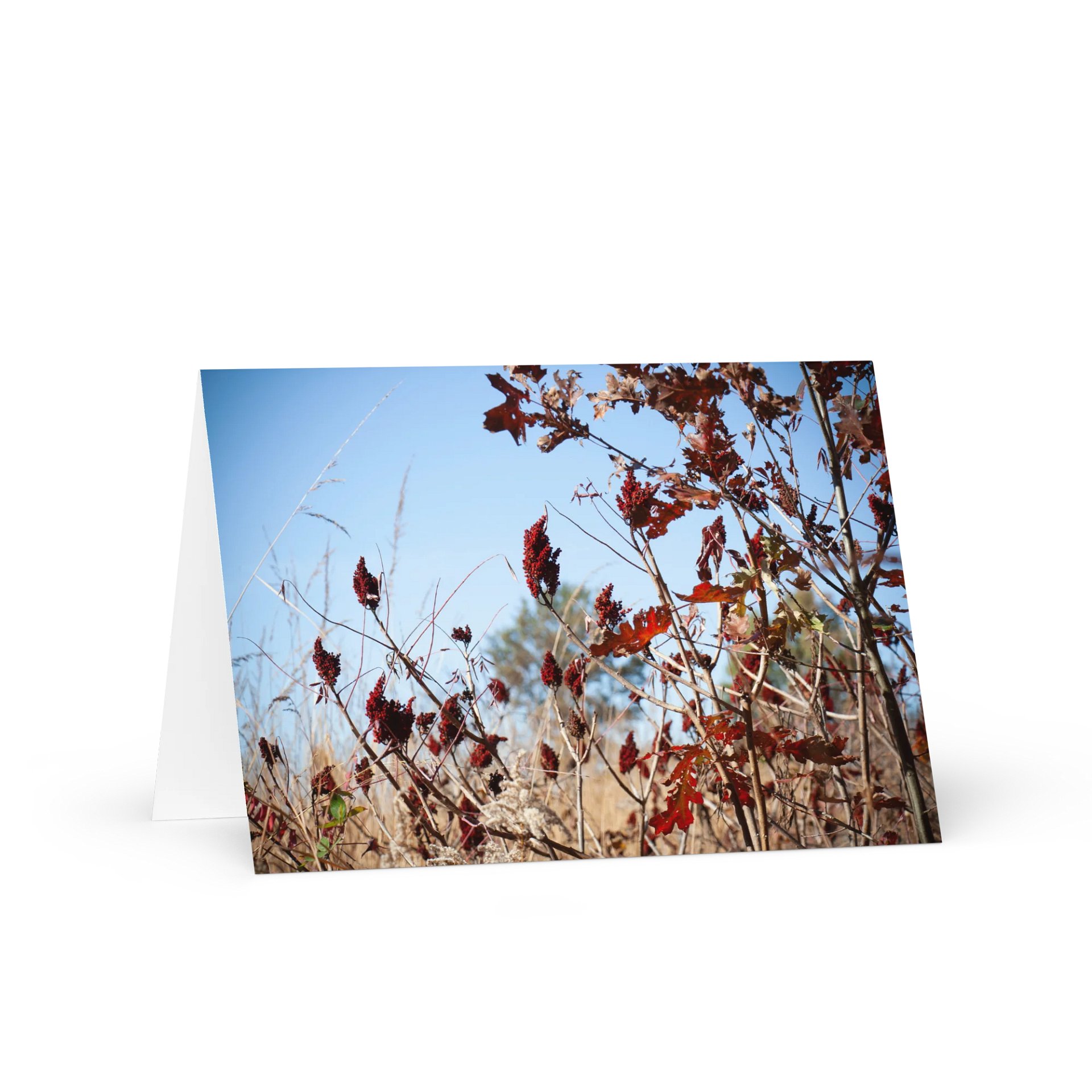 Nature's Palette Greeting Card product image (1)