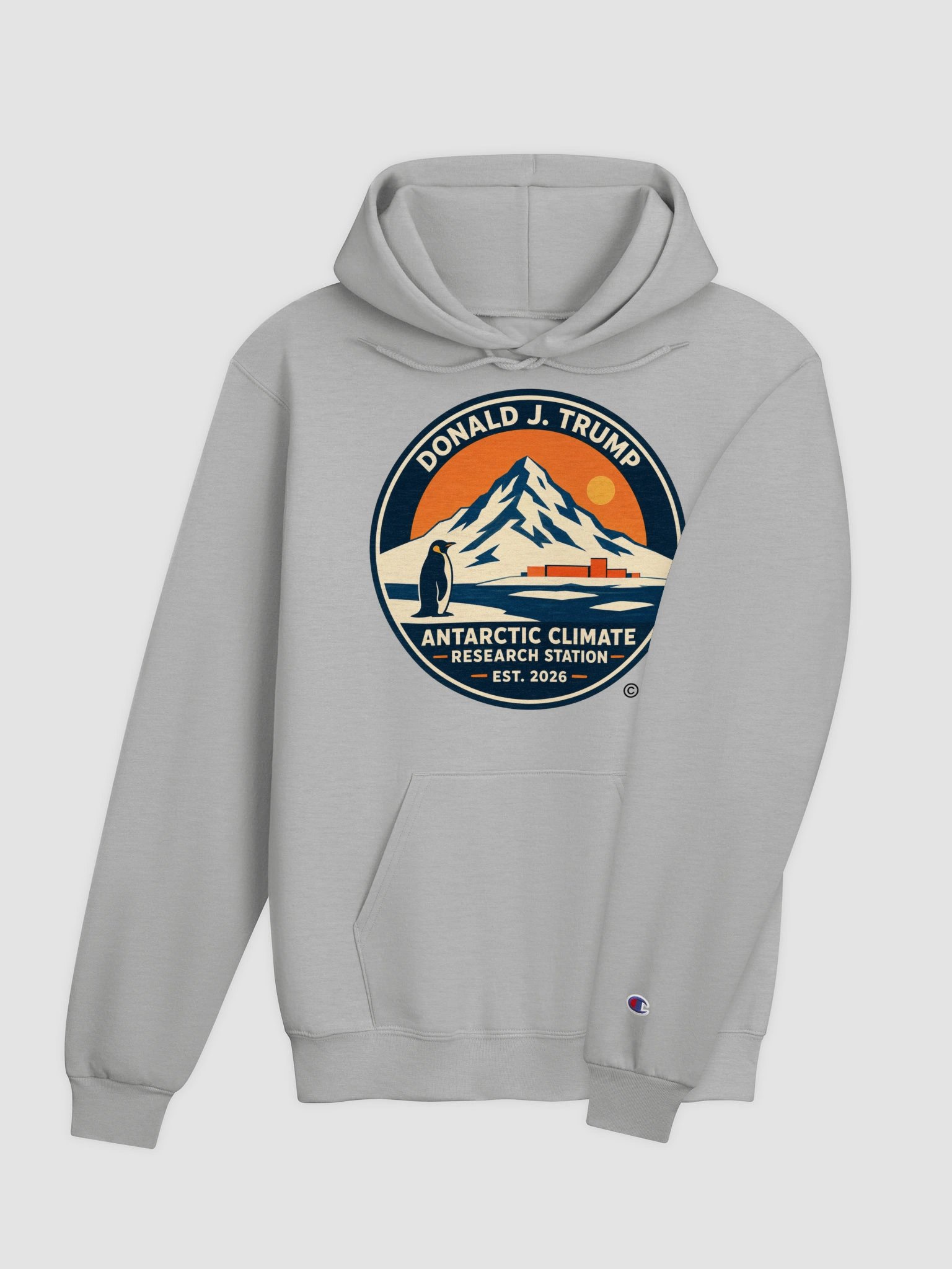 Champion Unisex Hoodie - Donald J. Trump Antarctic Climate Research Station product image (4)
