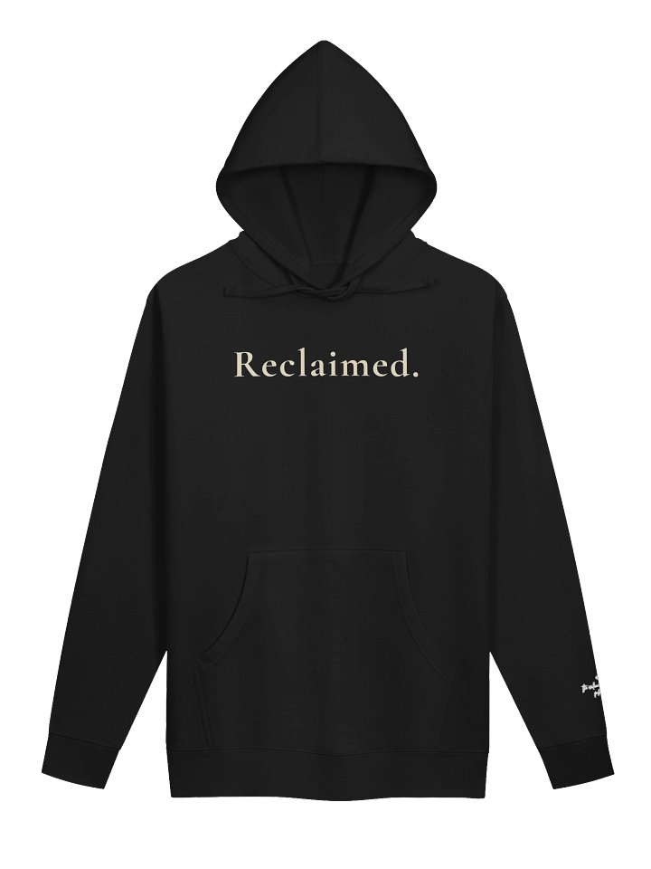 Reclaimed Serenity Hoodie product image (3)