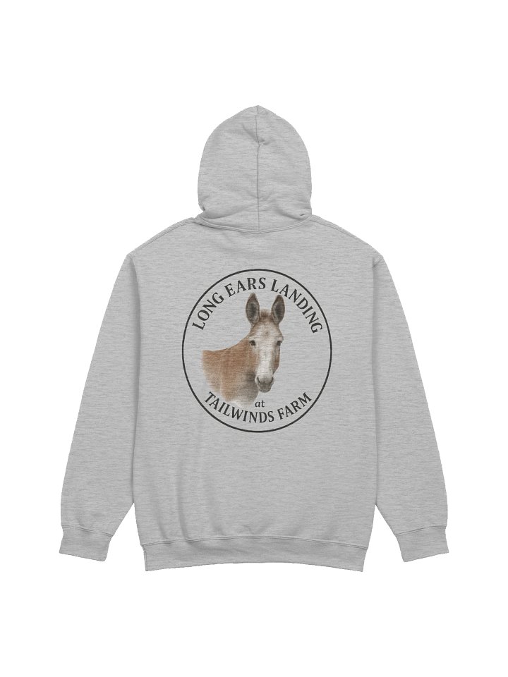 Buckwheat Large Logo Hoodie (on Back) product image (2)