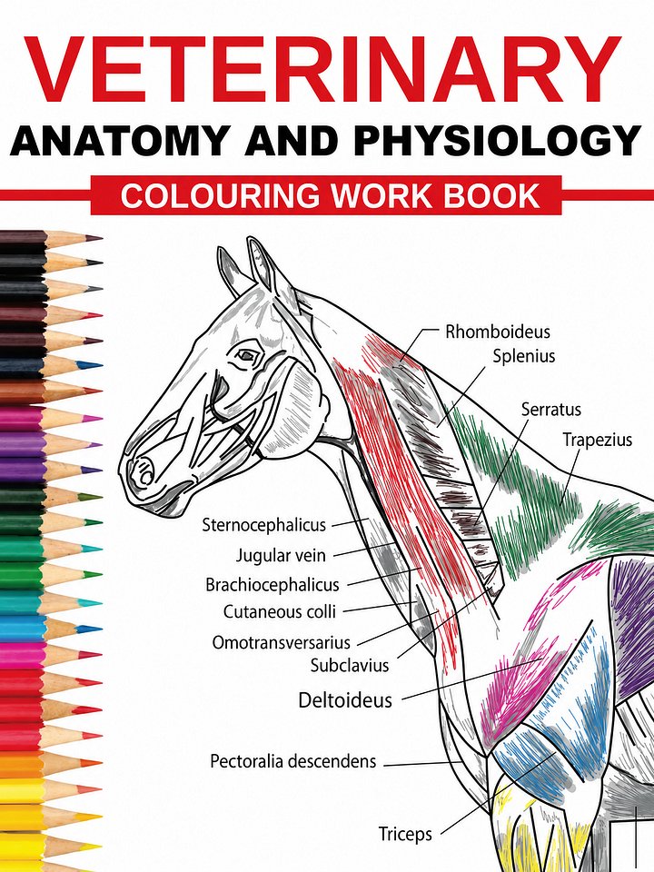 Veterinary Anatomy Coloring Books product image (1)