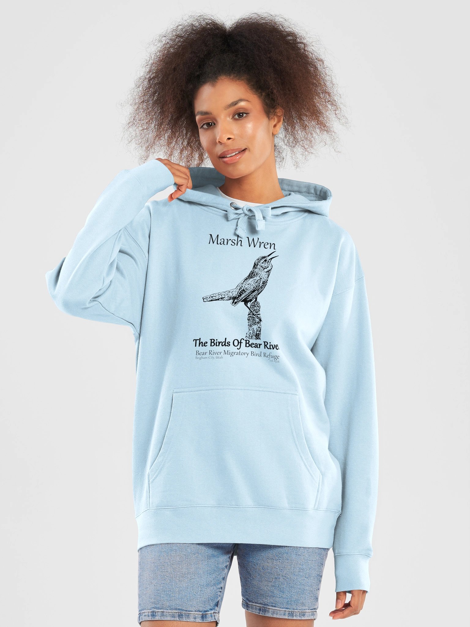 Birds of Bear River Marsh Wren Premium Hoodie product image (69)