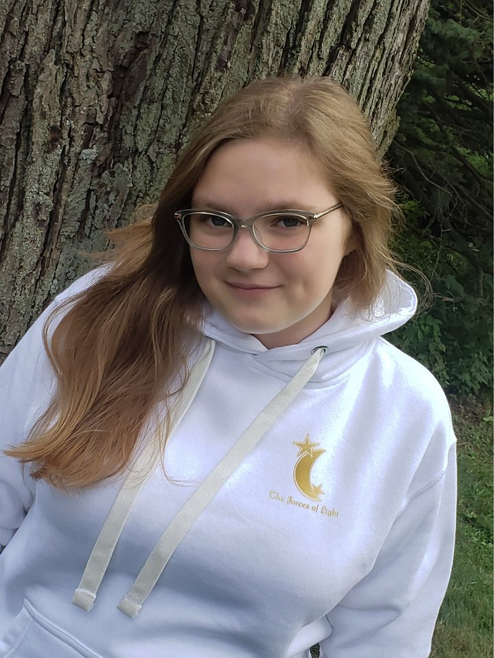 Forces of Light Symbol Hoodie product image (1)