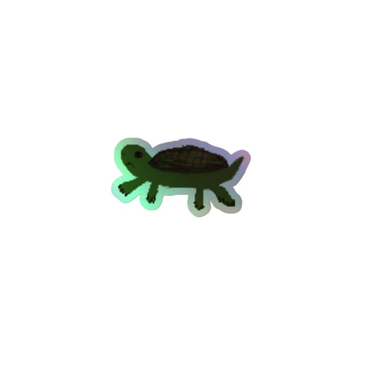 An additional Turtle product image (1)