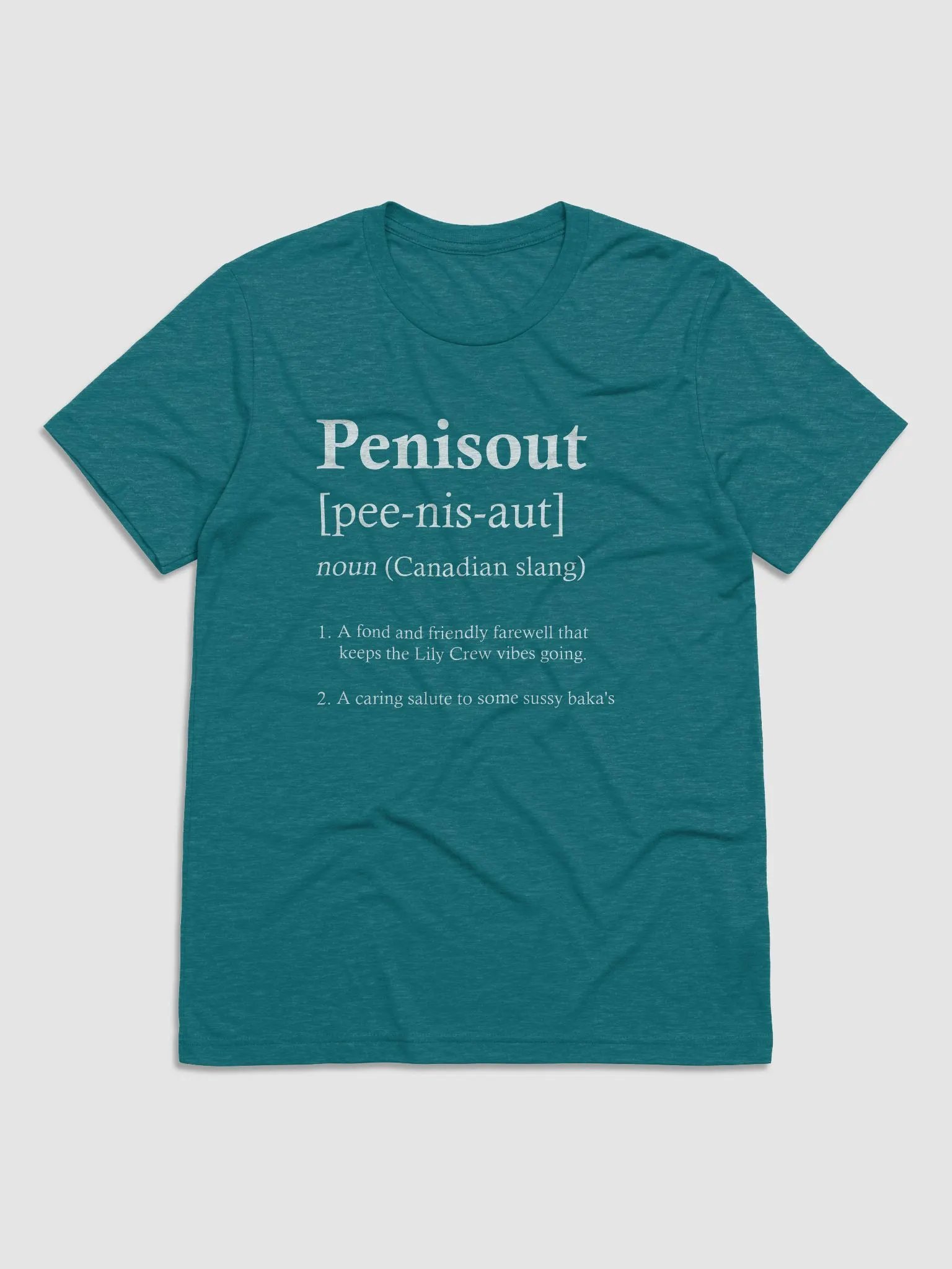 P***sout ~ Bella and Canvas Triblend Short Sleeve T-Shirt product image (5)
