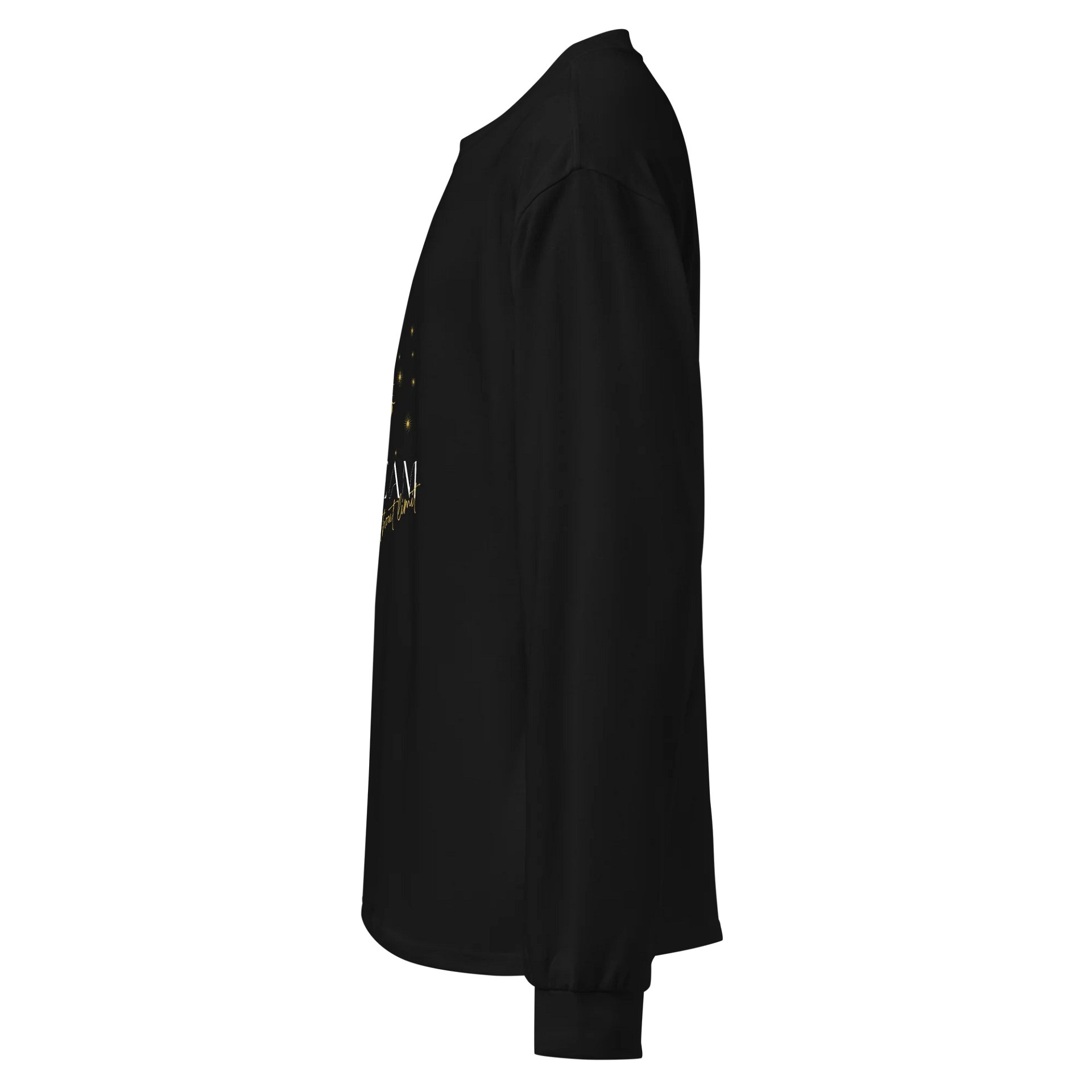 Women's Premium Heavyweight Long Sleeve Shirt HLFB0123 product image (3)