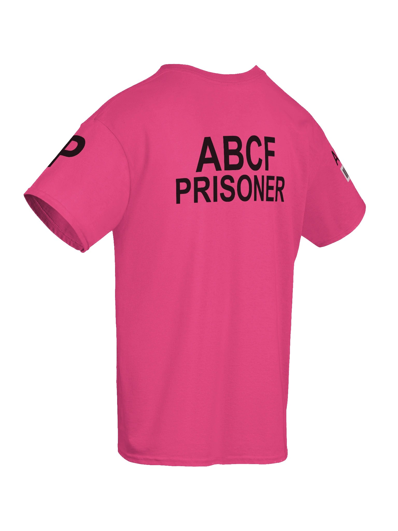 ABCF Standard Issued Maximum Security T-Shirt product image (10)