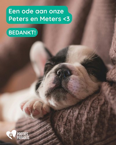 Een verblijf proper houden. Een kattenkamer warm maken. Medische zorgen helpen betalen. Of gewoon zorgen dat onze website onl...